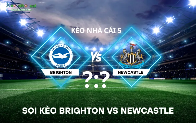 Soi kèo Brighton vs Newcastle