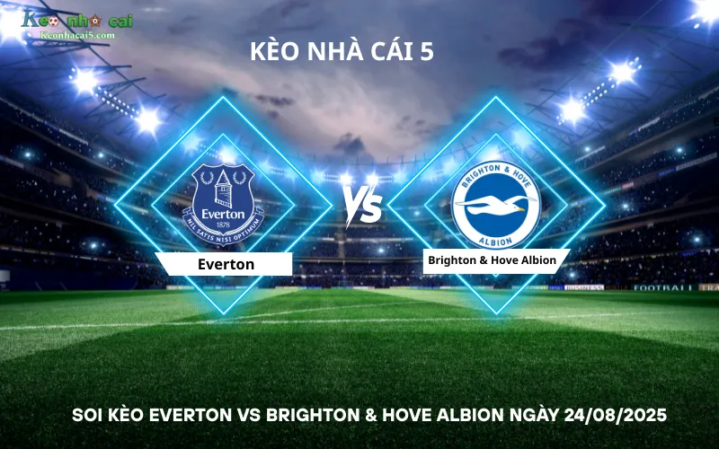 Soi kèo Everton vs Brighton & Hove Albion